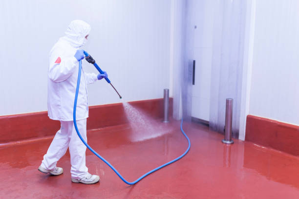 Best Dumpster Area Cleaning  in Union City, TN