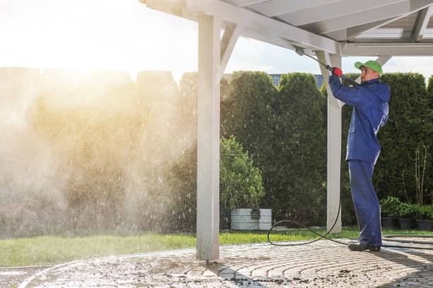 Best Sidewalk and Walkway Cleaning  in Union City, TN