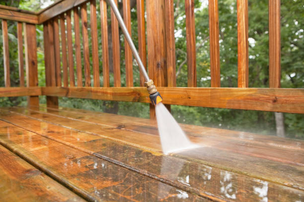 Best Fence Cleaning  in Union City, TN